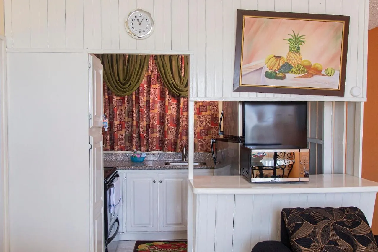 Heart-Of-The-City Apartment With The Amenities Of Home Kingston Jamaica